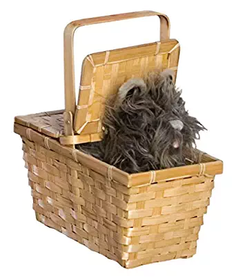 Toto With Basket