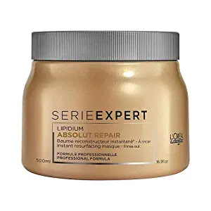 L'Oreal Professional Serie Expert Absolut Repair Lipidium Masque, 16.90 Ounce