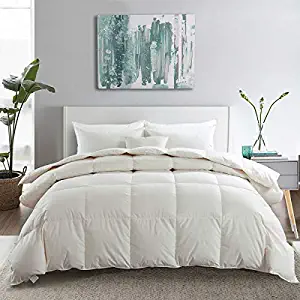 APSMILE Premium Heavyweight Goose Down Comforter King for Colder Climates/Sleeper - 100% Organic Cotton, 650FP 64 Oz Quilted Optimum Warmth Thick Duvet Insert (106x90 Inches - Ivory White)