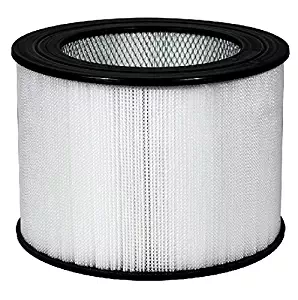 Nispira Replacement True HEPA Air Filter Compatible Honeywell 24000, 1 Filter