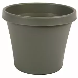 Fiskars 50420 Resin Traditional Terrapot, 17.2", Thyme Green