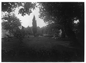 INFINITE PHOTOGRAPHS 1890 Photo Bakersfield. A Cottage Home Lawn with Shrubbery, Bakersfield, Kern County, California. Location: Bakersfield, California