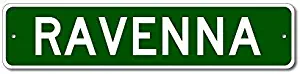 yyone Ravenna, Ohio U.S.A. Custom America Aluminum Metal Street Sign - Green - 4